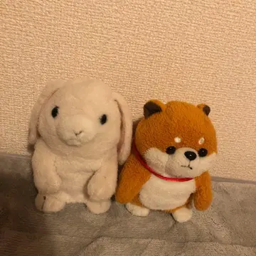 미미 크리펫 롭이어 와견