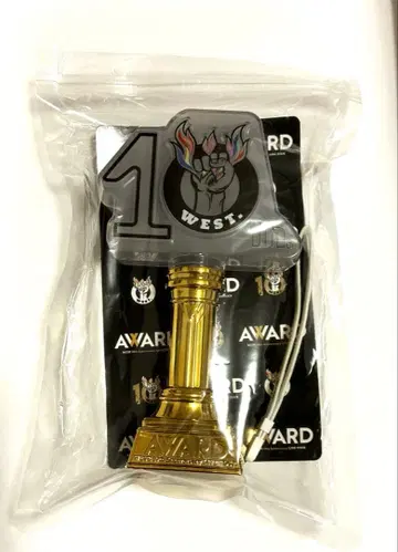 WEST. AWARD 트로피형 응원봉