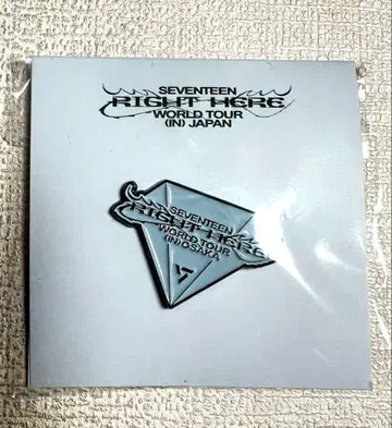 SEVENTEEN RIGHT HERE 세븐틴 핀 배지 오사카