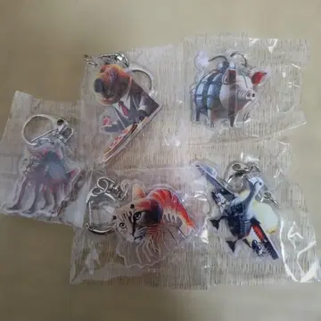 이탈리안 브레인 로트 아크릴 키링 5개 세트