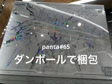 MGEX 1/100 스트라이크 프리덤 건담 TWILIGHT COATING