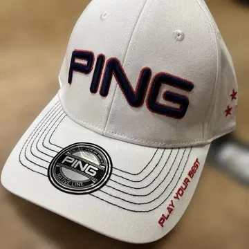 PING 캡