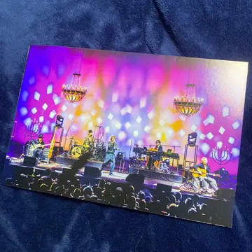 SUPER BEAVER 어쿠스틱 라이브 패널