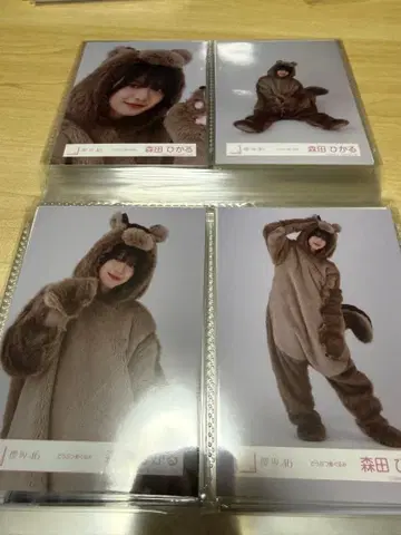 모리타 히카루 브로마이드 컴프 동물 인형옷