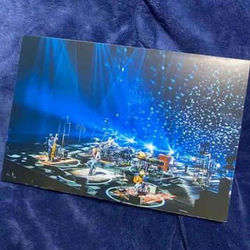 SUPER BEAVER 패널 어쿠스틱 투어