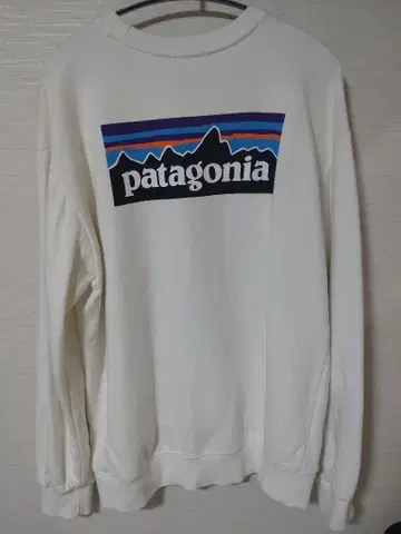 patagonia XL 화이트 트레이닝복