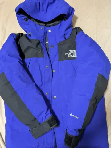 THE NORTH FACE GORE-TEX 다운 자켓 S 새상품급