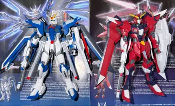 HG 라이징 프리덤 & 이모탈 저스티스 완성품 정크