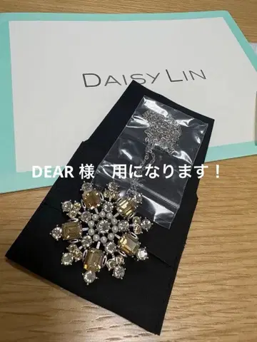 DAISY LIN PowerStone 브로치 목걸이