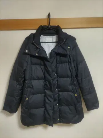 매킨토시 철학 다운 36