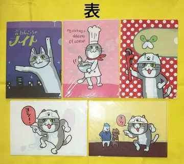 일하는 고양이 A5 미니 클리어 파일 5세트 쿠마미네