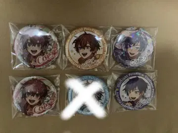 스타포라 캔뱃지 5개 세트