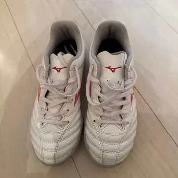 미즈노 모나르시다 네오 21.5cm