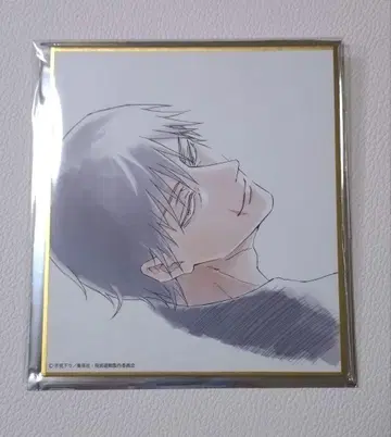 주술회전전 회옥옥절 미니색지 후시구로 진지