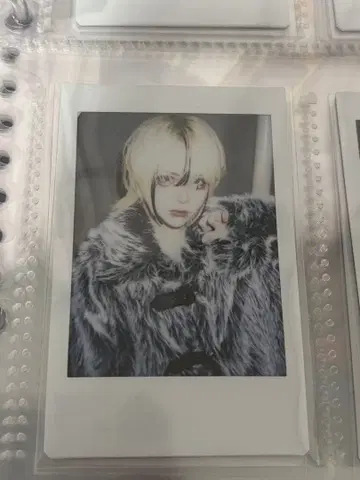 머큐로 젤라 SKULLPANDA 런치 폴라로이드