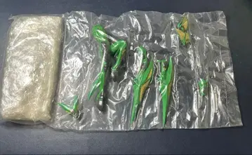 강식장갑 가이버 트레이딩 피규어 리 엔츠이