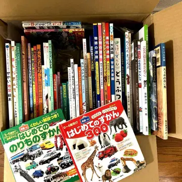 45권 그림책 세트 묶음 판매