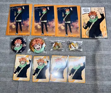 하이큐 코스모 월드 히나타 쇼요 캔뱃지 아크릴 참 특전