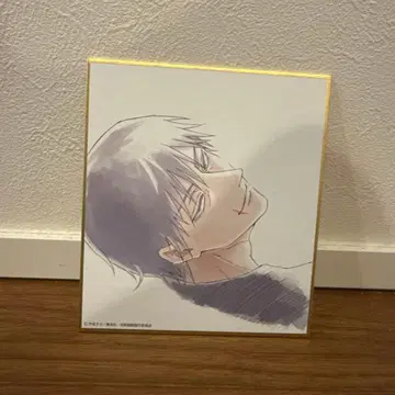 주술회전전 회옥옥절 블라인드 미니 색지 후시구로 토우지