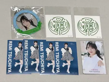 가련한 아이보리 츠치야 레이미