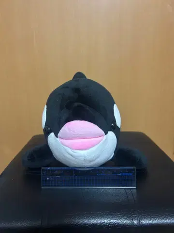 범고래 봉제 인형 약 30cm