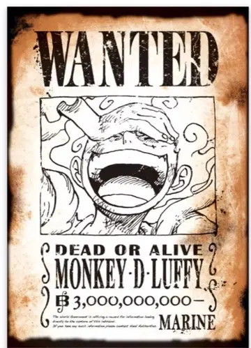 원피스 베이스 샵 수배서 루피