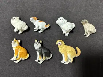 굼벵이 굼벵이2 묶음 판매