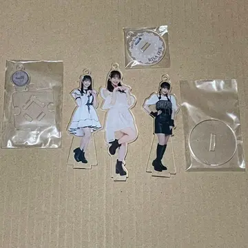 이리에 리사 fsk