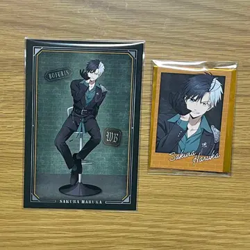 WIND BREAKER 윈브레 로프트 벚꽃 사진풍 엽서 카드