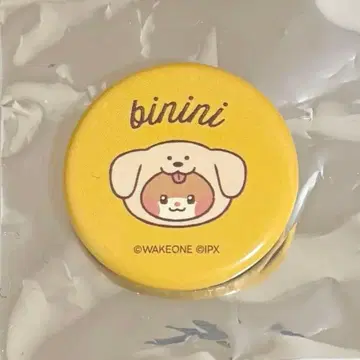 당일 발송 zb1 zeroni 제로니 비니니 한빈 캔뱃지