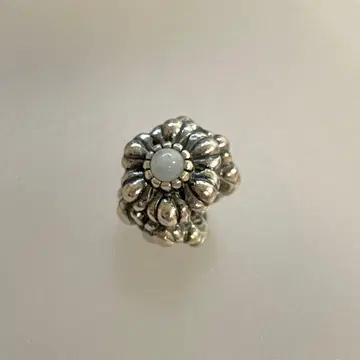 Pandora 판도라 Birthday Blooms 참 단종
