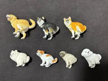 푼바리누 푼바리누2 묶음 판매