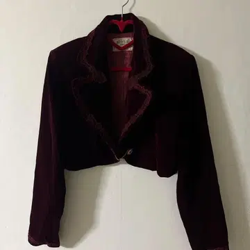 베티즈 블루 벨벳 크롭 자켓 버건디 90'S 하라주쿠