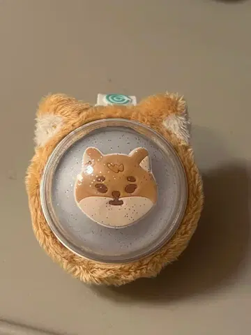 DAY6 (데이식스) 응원봉 (메이드워치)