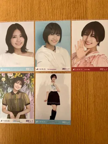 노기자카46 세이미야 레이 브로마이드 5장 세트