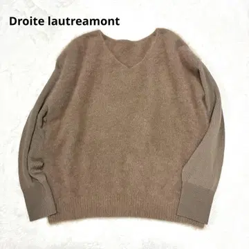 Droite lautreamont 라쿤 소매 절개 니트 BAILA 게재품