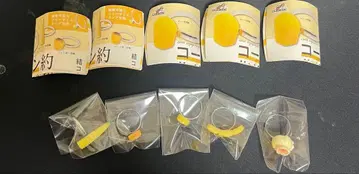 콘 약 반지 5종 컴플리트 세트