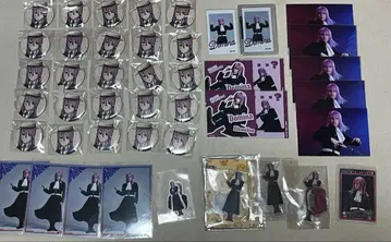 매쉬루 도미나 세트