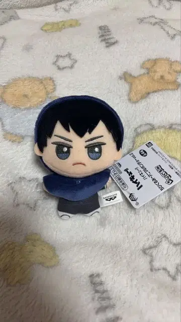 하이큐 SD 인형 애니멀 판초 카게야마 토비오