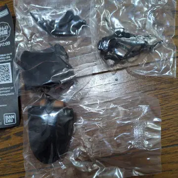 생물의 대도감 장수풍뎅이 09 오오쿠와가타 (개정) 미개봉