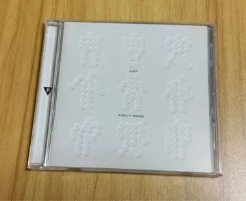 unZIP 핵 P-MODEL 4th 앨범 히라사와 스스무