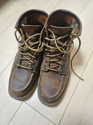 레드윙 1907 10D 28cm