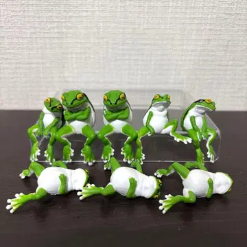 가장자리 휴식 청개구리