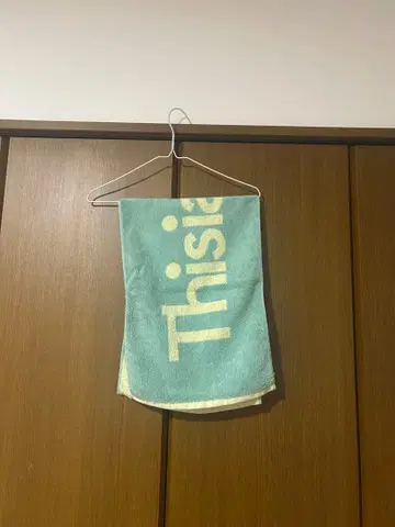 This is LAST 타월