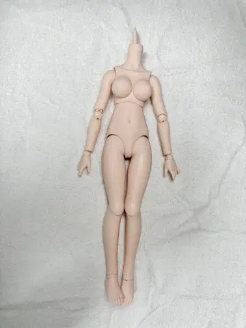 MDD 바디 2.0 세미 화이트 스킨 ( L가슴 환장 )