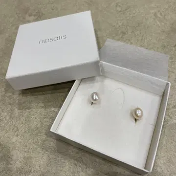 립살리스 펄 귀찌