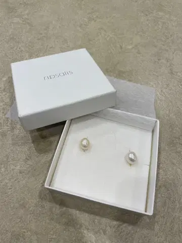 립살리스 펄 귀찌