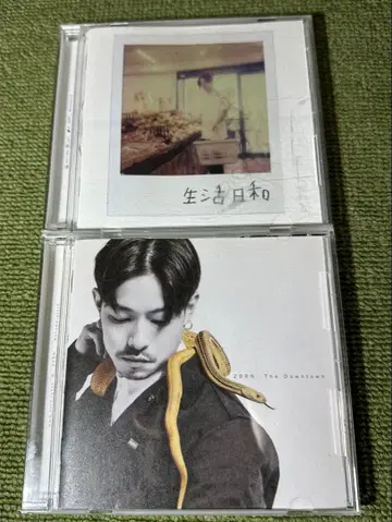 ZORN 생활일화 & The Downtown 2장 CD