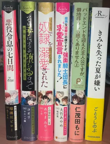 BL 소설 묶음 판매 세트