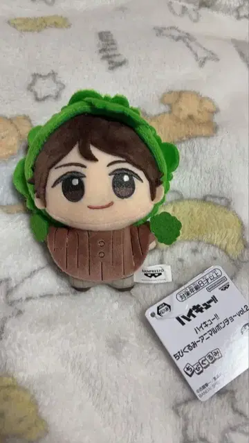 하이큐!! 봉제 인형 야채 모자 오이카와 토오루